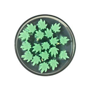 Black Gold Boutique Candle With Floating Leaves